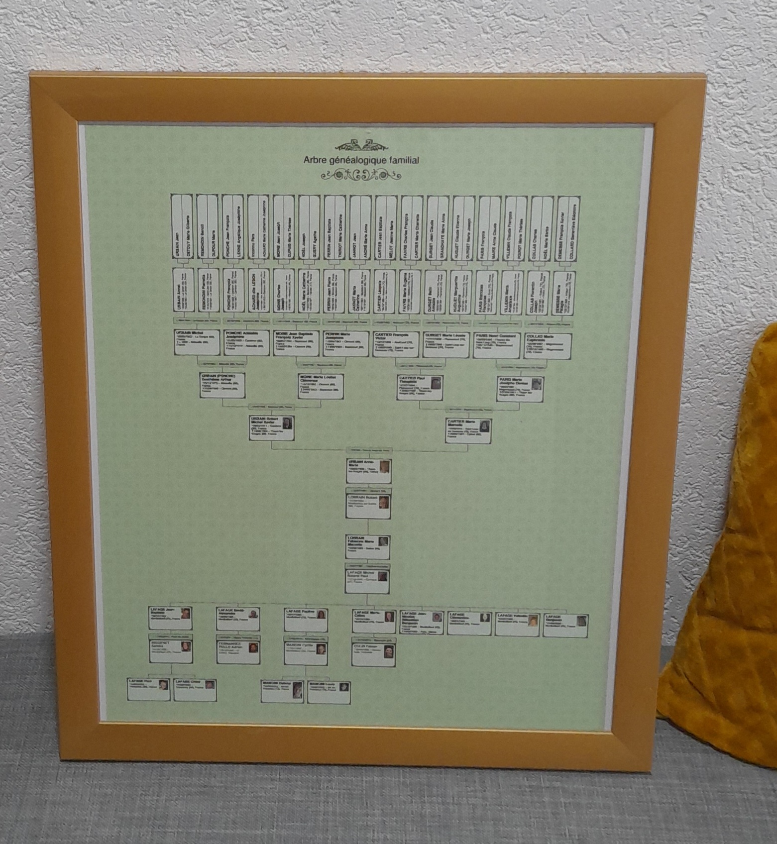 Réalisation d'un arbre généalogique